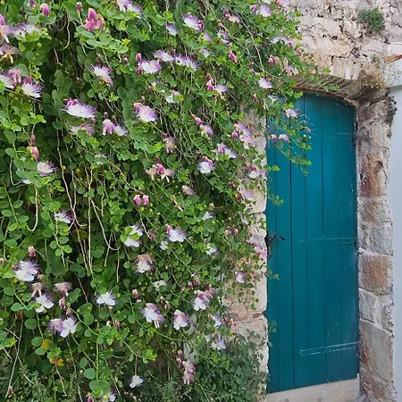 Appartement Nanna's Little Paradise Hvar Town